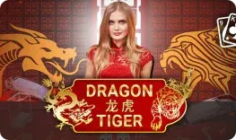 dragon-tiger